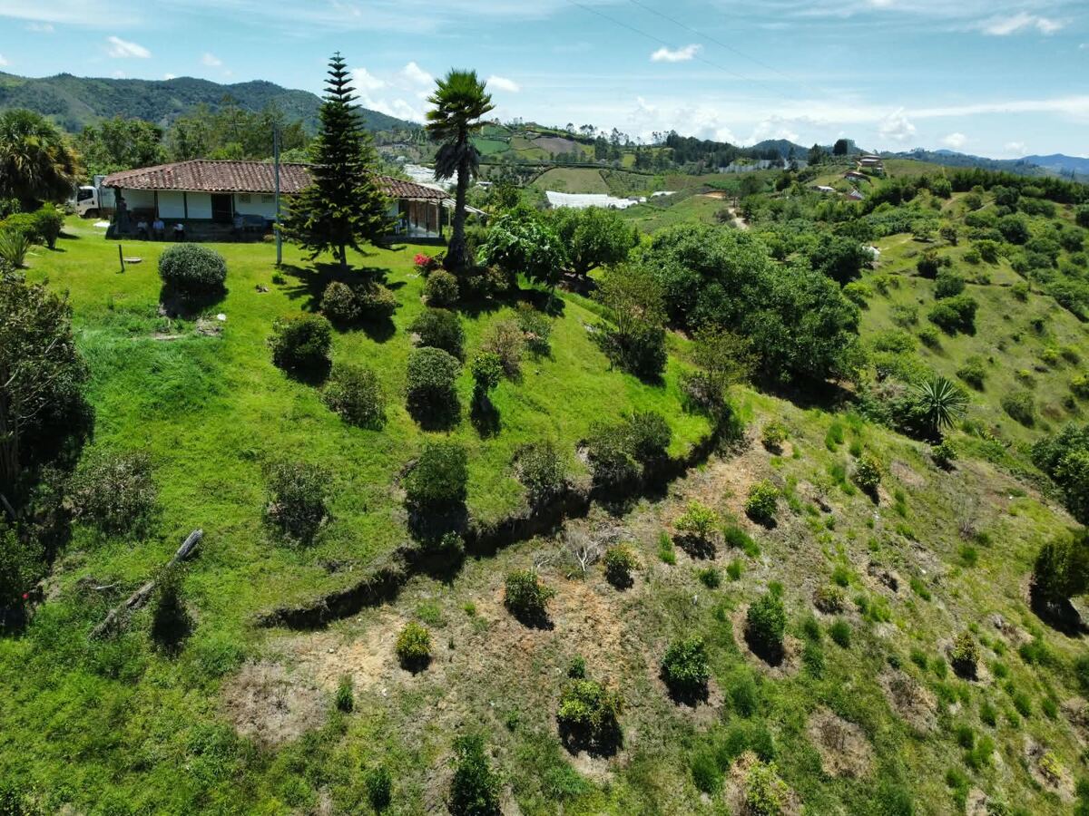Casa y lotes con aguacates vistos desde el dron