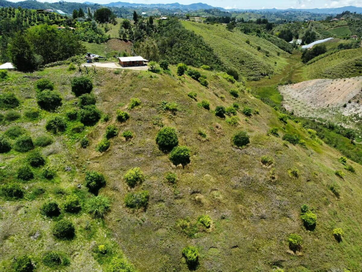 Lote en ladera con aguacates y vista abierta